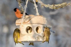 Futterhaus Birkenholz