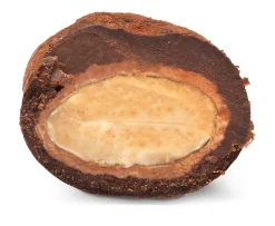 Gebrannte Mandeln in Schokolade aus Frankreich