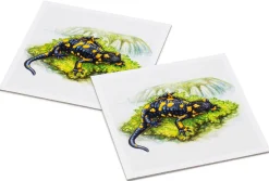 Gedächtnisspiel Natur