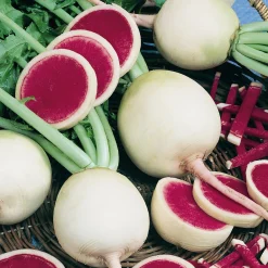 Gemüsesamen Asiatische Gemüse