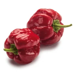 Gemüsesamen Besondere Chilis und Paprika