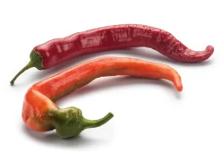 Gemüsesamen Besondere Chilis und Paprika