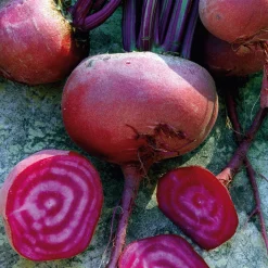 Gemüsesamen Gemüsespezialitäten europäischer Regionen