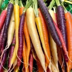 Gemüsesamen Historische Wurzelgemüse