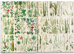 Geschenkpapier Pepin