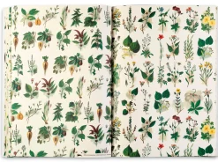 Geschenkpapier Pepin