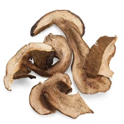 Getrocknete Steinpilze