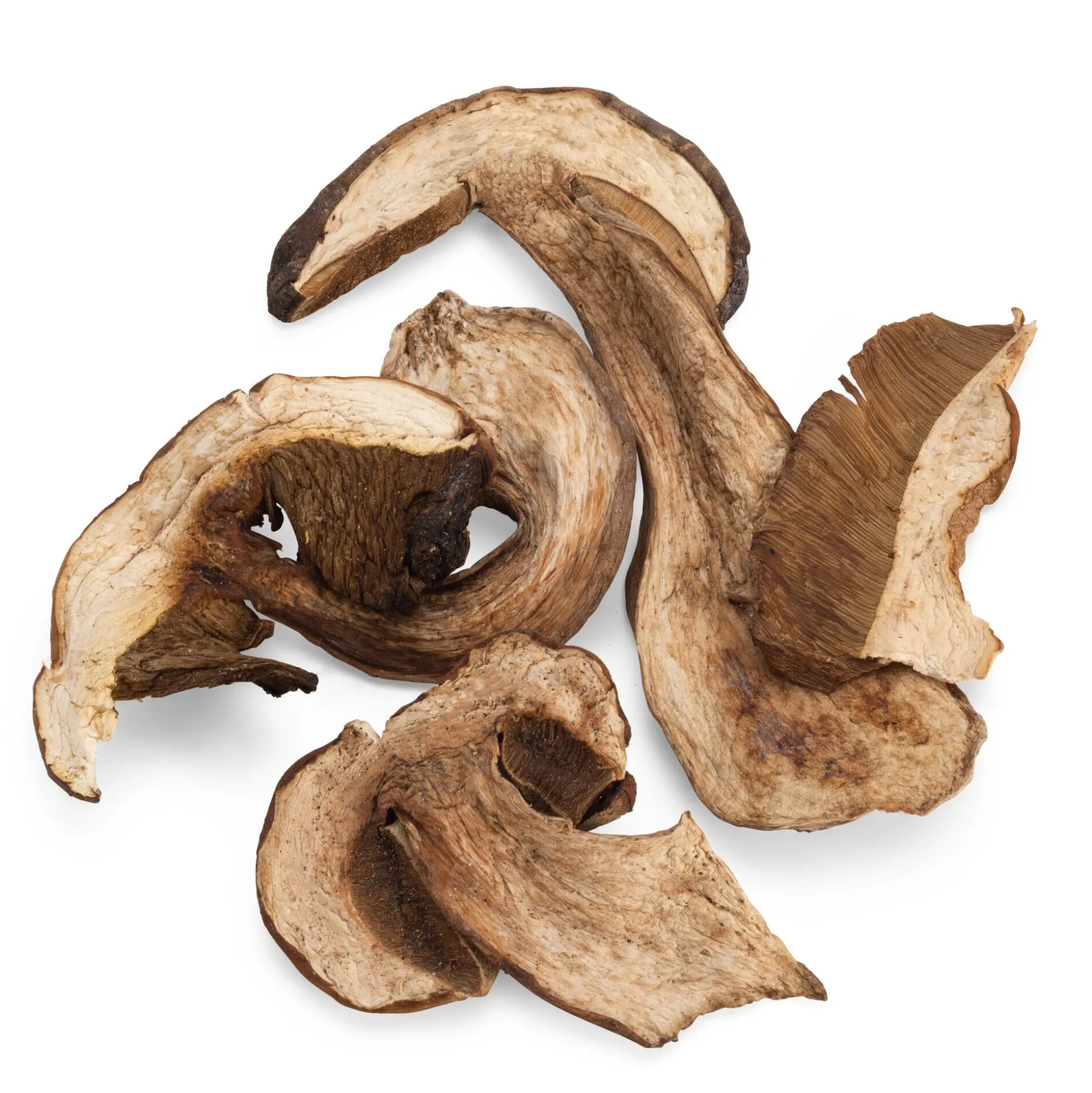 Getrocknete Steinpilze