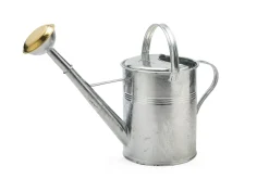 Gießkanne verzinkt