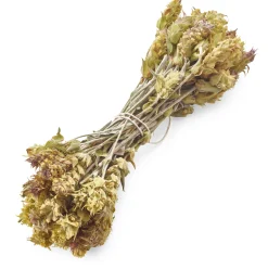 Griechischer Bergtee