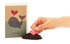 Grußkarten mit Wildblumensamen