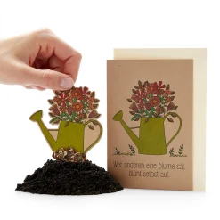 Grußkarten mit Wildblumensamen