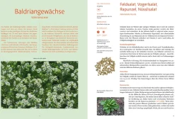 Handbuch Samengärtnerei