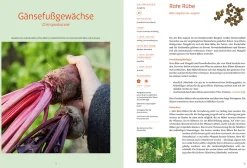 Handbuch Samengärtnerei