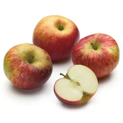 Herbstapfel 'Prinz Albrecht von Preußen'