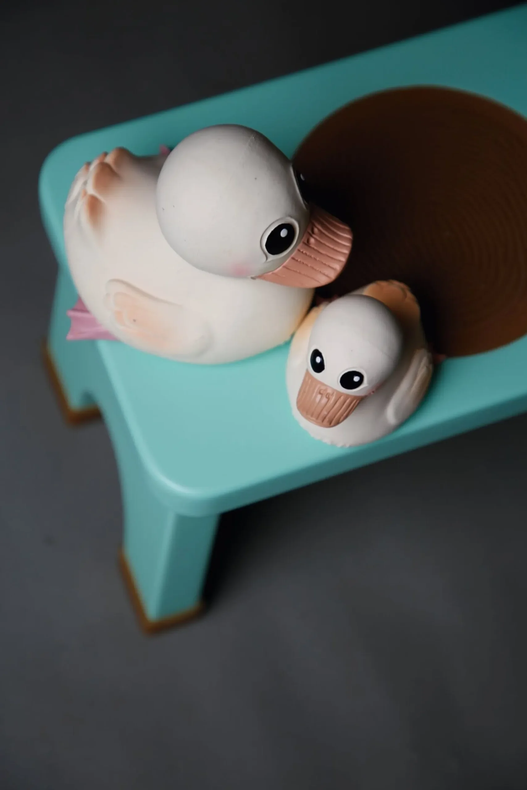 Hevea Ente Naturkautschuk