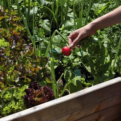 Hochbeet Lärchenholz