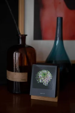 Jahreskalender Flamboyant Flowers