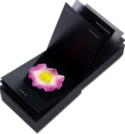 Jahreskalender Flamboyant Flowers