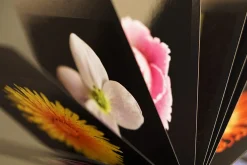 Jahreskalender Flamboyant Flowers