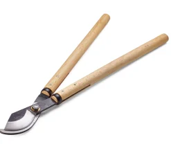 Japanische Astschere