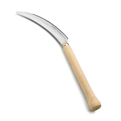 Japanische Staudensichel