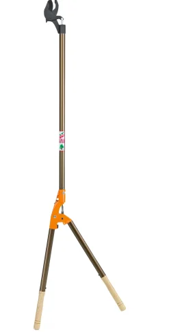 Japanische Y-Astschere