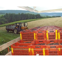 Joannet Crème de Cassis