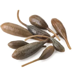 Kapernäpfel von Salina