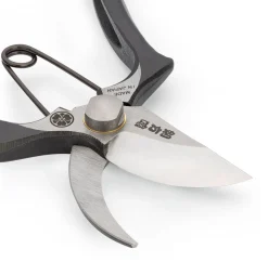 Kleine Japanische Rosenschere