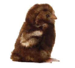 Kösener Küken klein