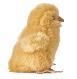 Kösener Küken klein