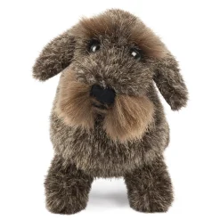 Kösener Rauhaardackel