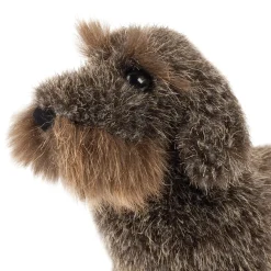 Kösener Rauhaardackel