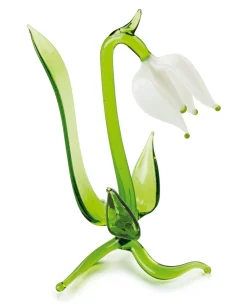 Lauschaer Schneeglöckchen