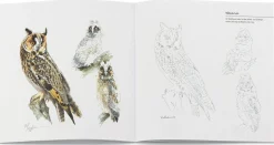 Mal- und Zeichenbuch