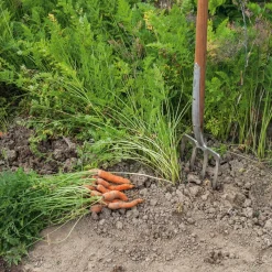 Manufactum Grabegabel Edelstahl