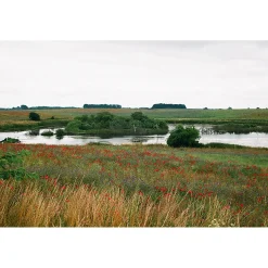 Manufactum Kräuter- und Blütentee
