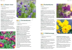 Mein Garten wächst im Topf