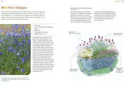 Mein Garten wächst im Topf