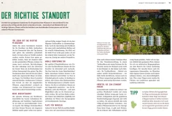 Mein Heilpflanzen-Hochbeet