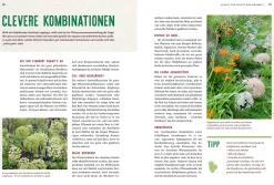 Mein Heilpflanzen-Hochbeet