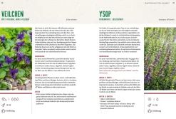 Mein Heilpflanzen-Hochbeet