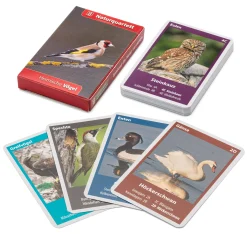 Naturquartett Heimische Vögel