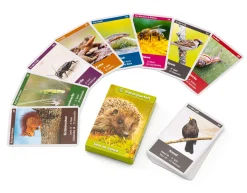 Naturquartett Tiere im Garten