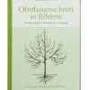 Obstbaumschnitt in Bildern
