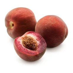 Obstgehölz 'Roter Weinbergpfirsich'