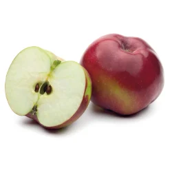 Obstgehölz Säulenapfel 'Black McIntosh'