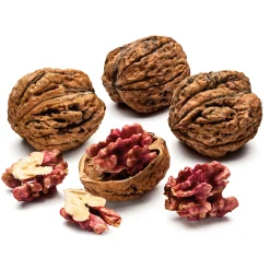 Obstgehölz Walnuss 'Rote Donaunuss'