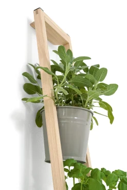 Pflanzenleiter für drinnen und draußen